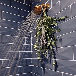 Fresh Eucalyptus and Lavender Stems